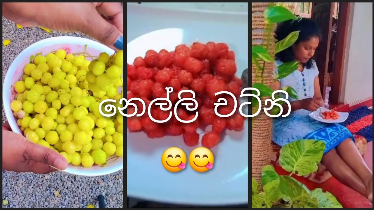 රසම රස  නෙල්ලි චට්නියක් හදමු.😋 එහෙනම් එන්න මගේ පුංචි Kitchen එක පැත්තෙ රවුමක් යන්න 💗😋
