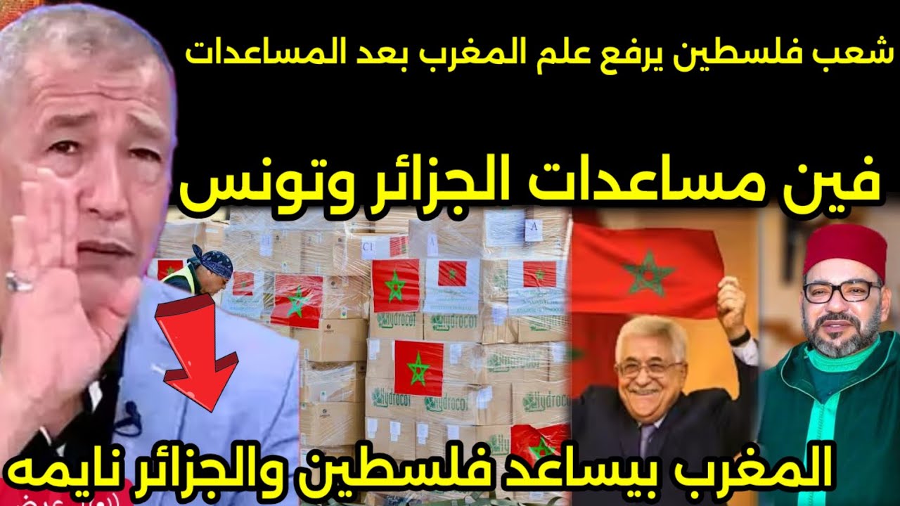 الاعلامي الجزائري يصرخ بعد ارسال مساعدات مغربيه لفلسطين والشعب الغزاوي يرفع الاعلام المغربيه 🇲🇦
