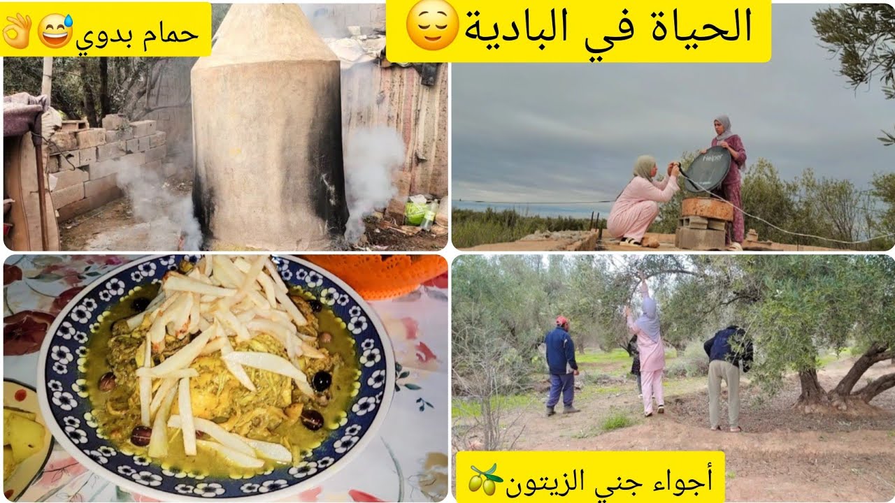 روتين يوم السوق الاسبوعي في البادية👌أجواء جني الزيتون🫒برعنا راجل ختي🥰أول مرة تشوفو الحمام البلدي 🤭
