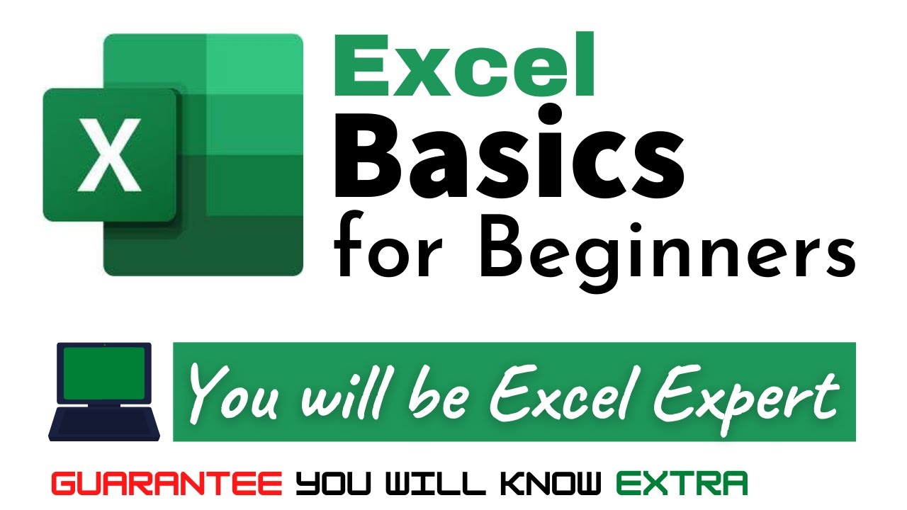 Excel Basics for Beginners