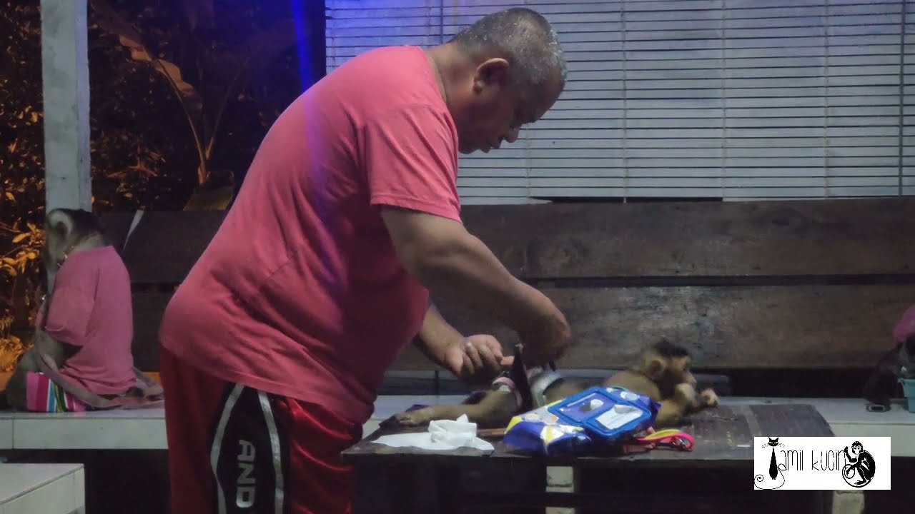 Jk Family Wear Diapers