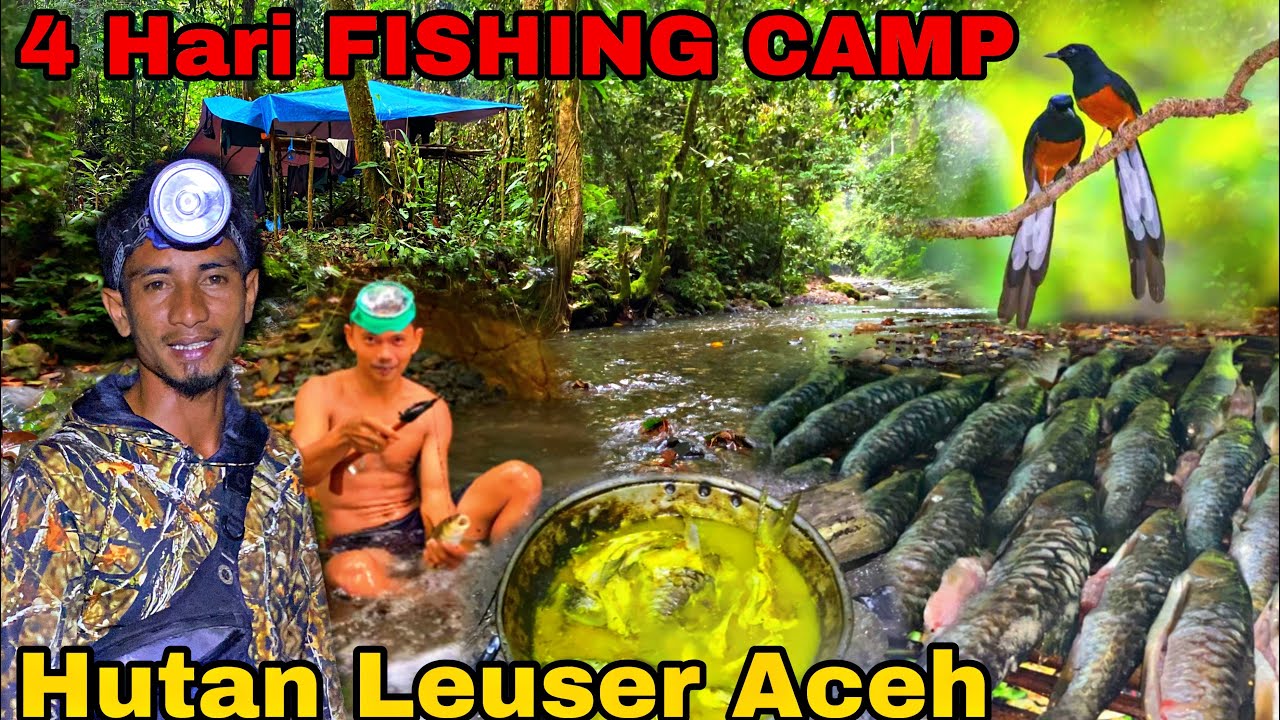 4 HARI FISHING CAMP MENCARI IKAN DI HUTAN LEUSER ACEH, BERPETUALANG DAN MENELUSURI SUNGAI DI HUTAN 