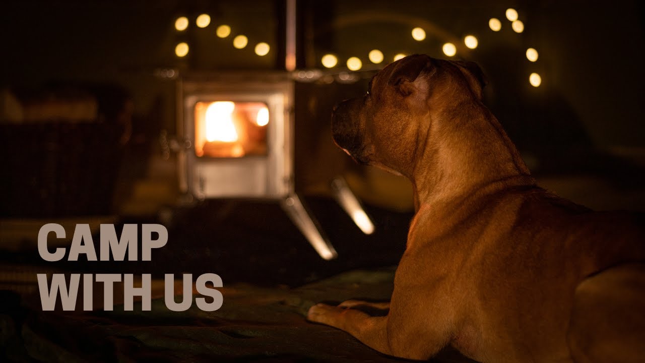 Winter Camping w/ our Staffordshire Bull Terriers