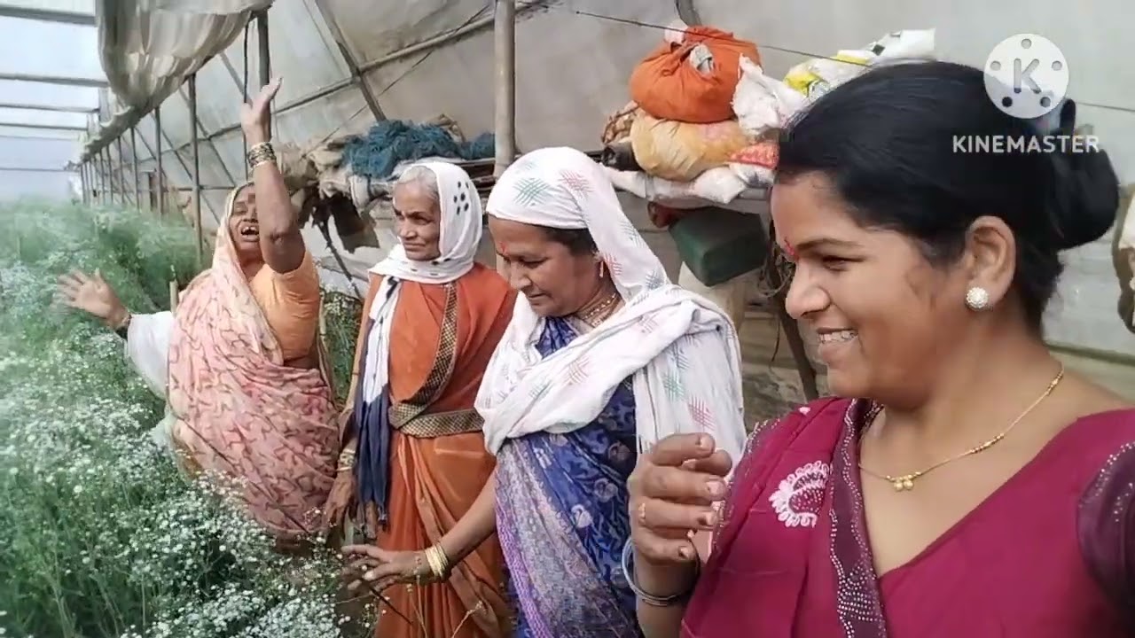 सकाळची कामे दुसऱ्या दिवशी ची वावरातील कामं...🥰🥰