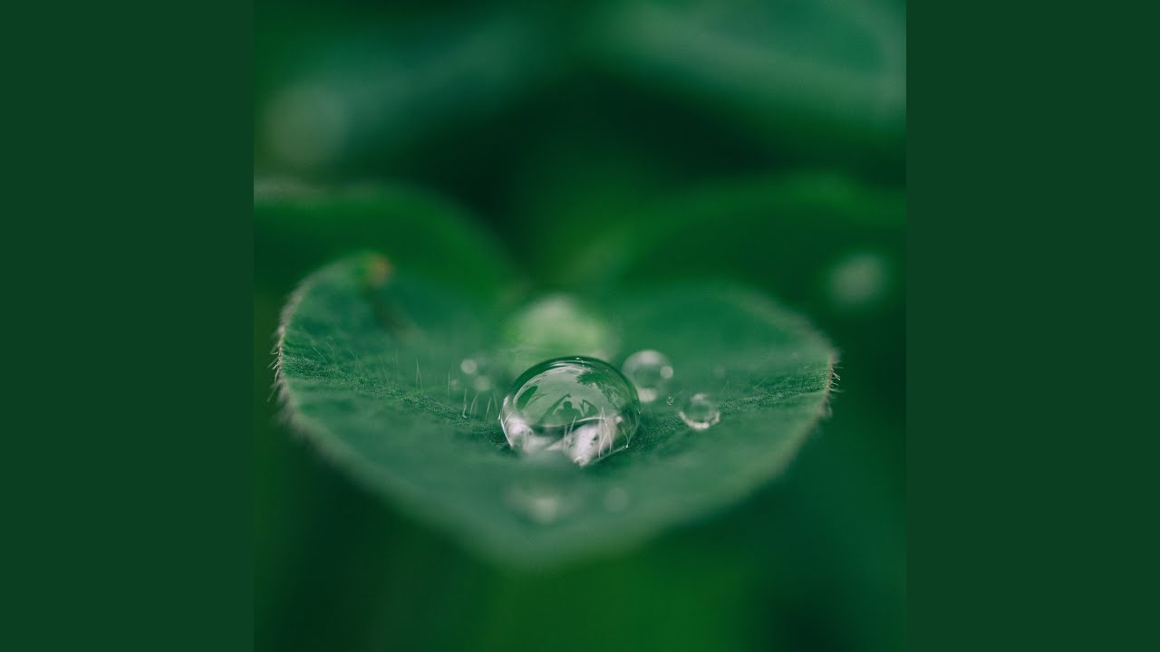 深綠小夜曲