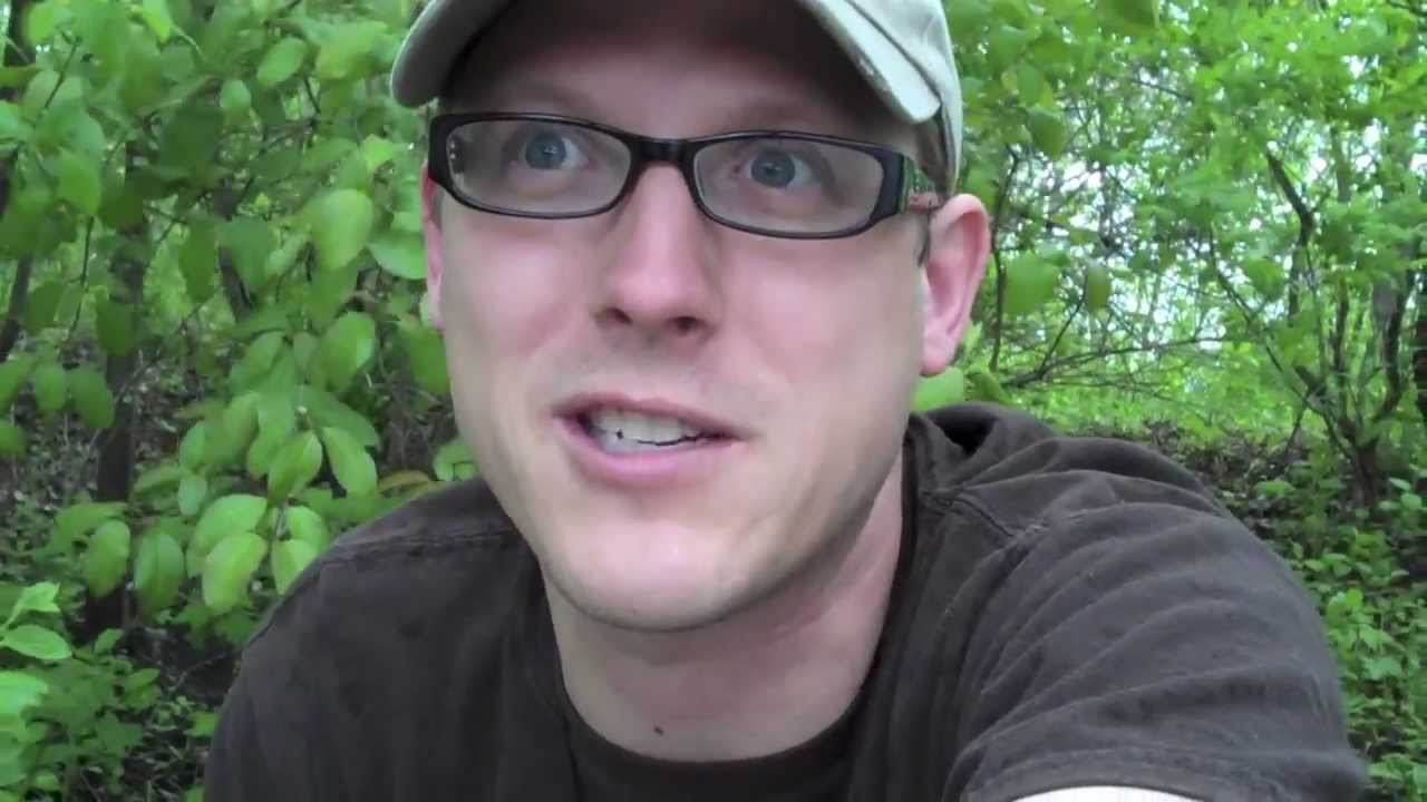 TREE CLIMB GEOCACHING!