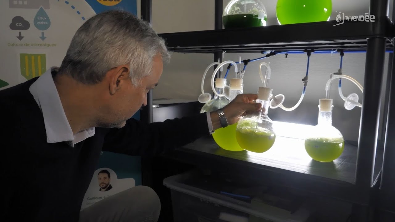 Ma Planète Bleue – Episode 29