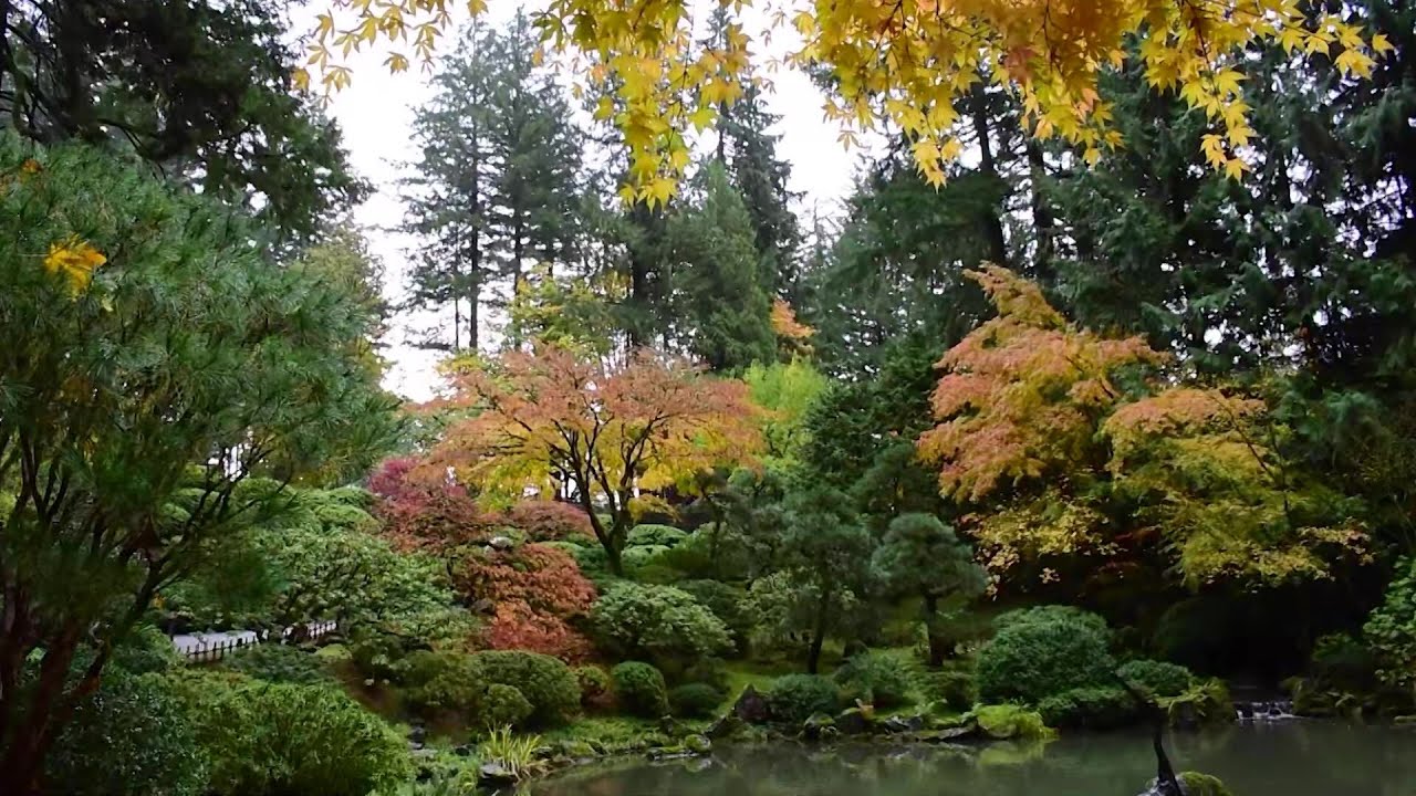 Meet the new CEOs of Portland's Japanese Garden | KOIN Conversations
