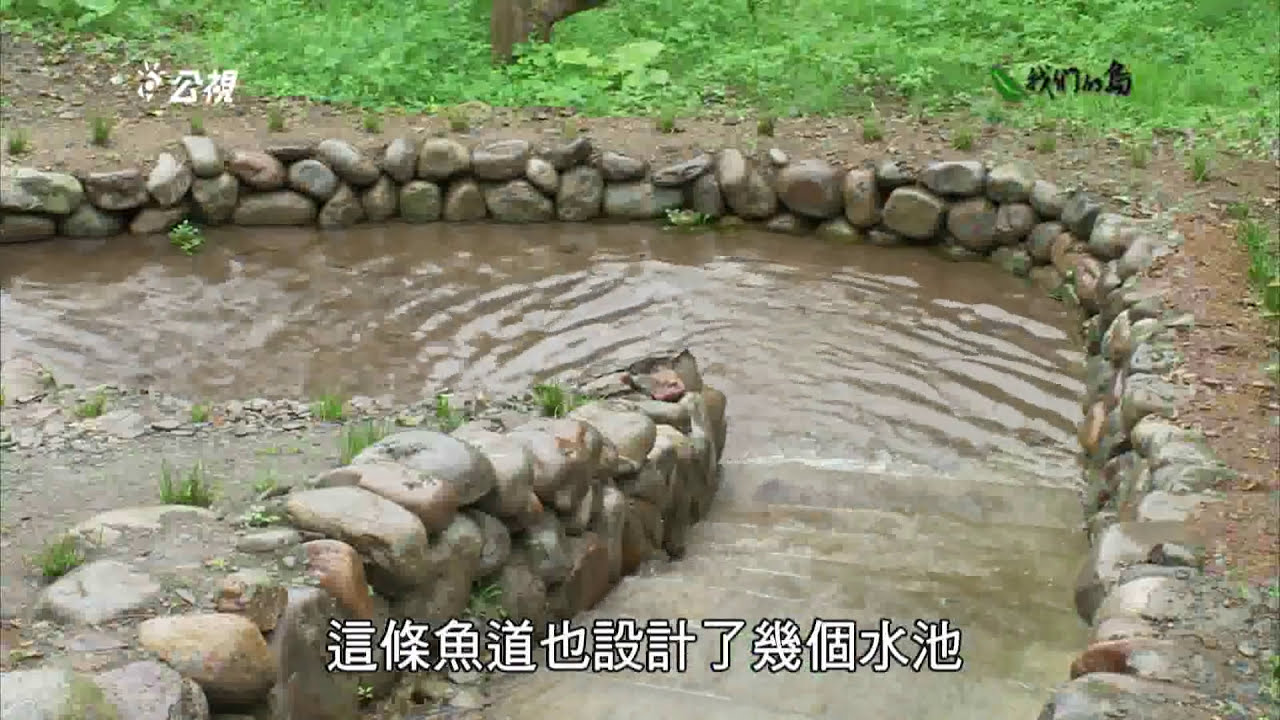 【生態工法】魚之道｜打造一條魚安心的道路 (我們的島 第810集  2015-06-01)