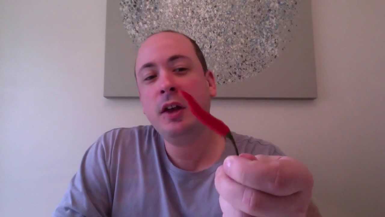 Birds Eye Chilli Pod Test