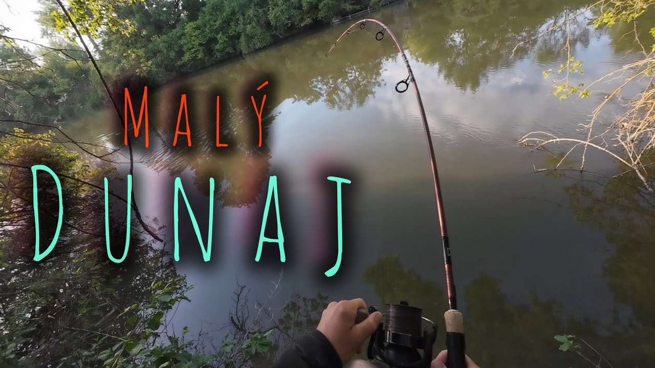 Lov Kaprov na rieke /Mal&yacute; Dunaj /j&uacute;n2025 #carpfishing #fishing LITTLE DANUBE FISHING /cold water dji