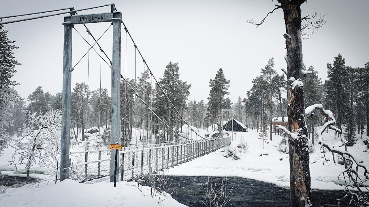 Lapland - February 2023 - Part 3