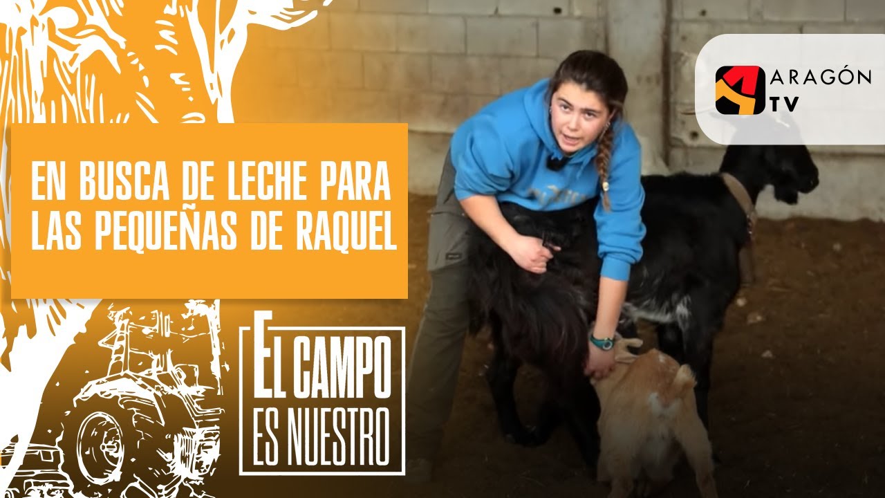 En busca de leche para las pequeñas de Raquel
