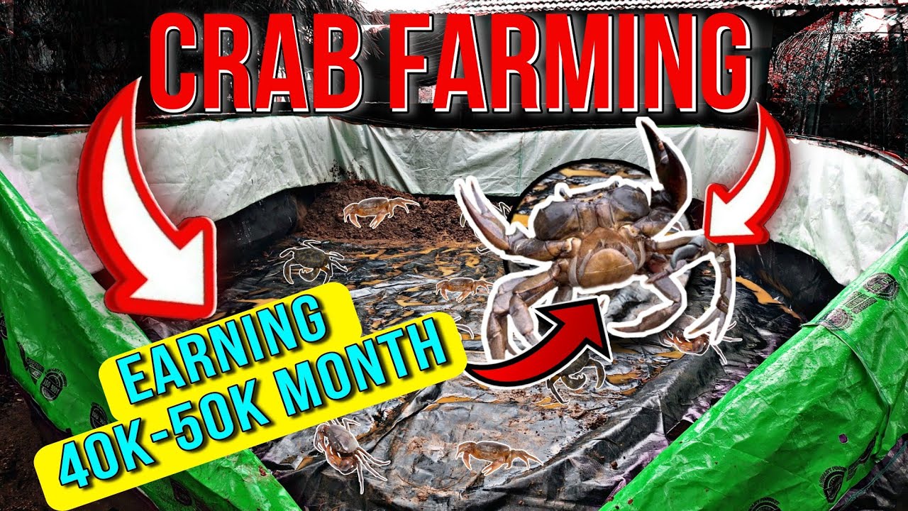 Khekda palan प्लास्टिक बेड पर कमओ 40-50 हजार 💸 | Unique Carb Farming Part 1