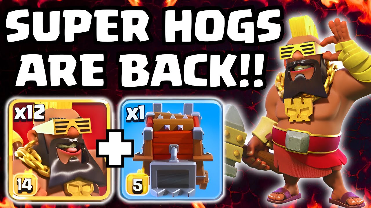 Super Hogs are FINALLY Back in CWL!! 🎊🐷