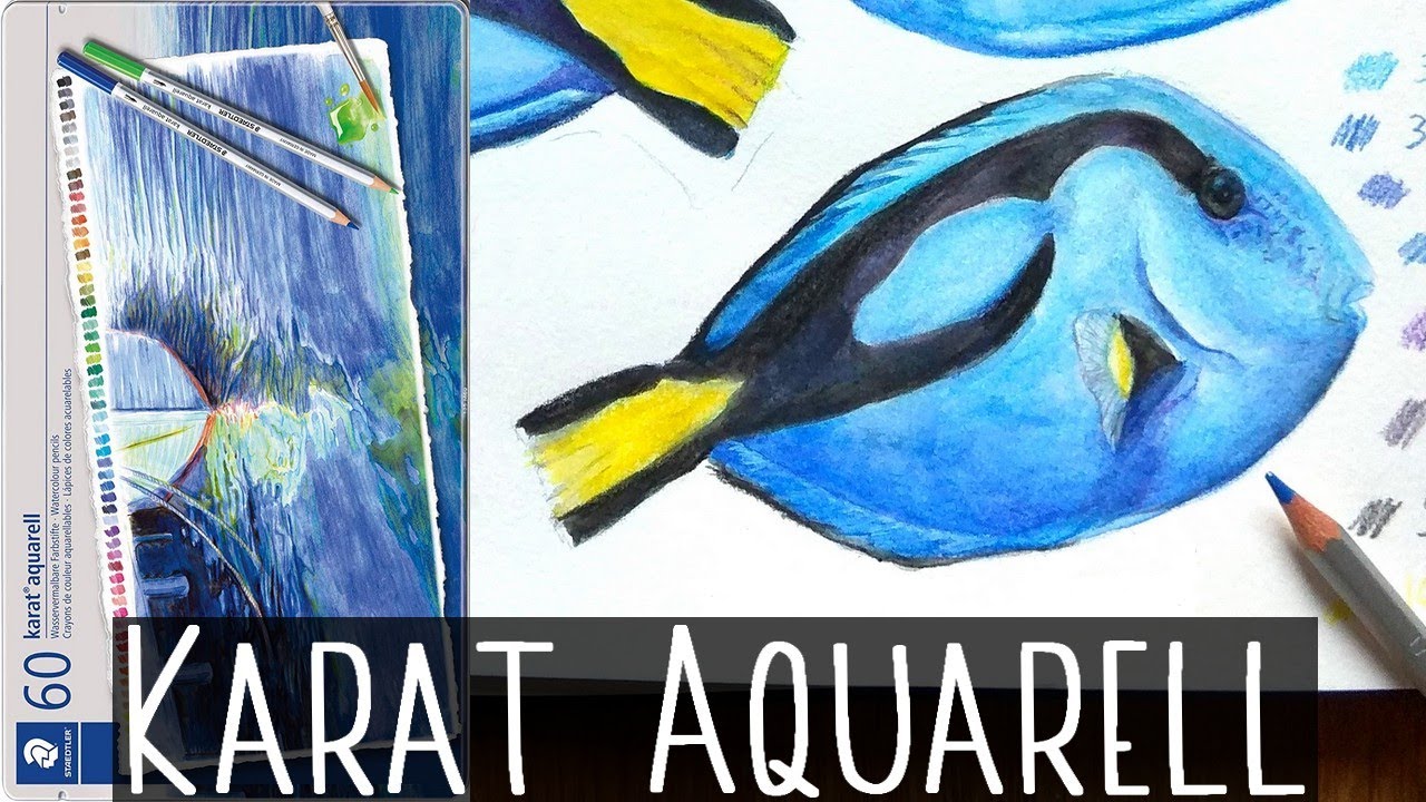 🐟 Crayons aquarellables Karat de Staedtler : Test et avis !