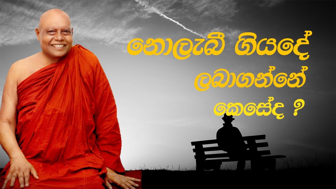 Ven  Nauyane Ariyadhamma Maha Thero 🙏🙏 #nauyaneariyadhammathero #nauyaneariyadhammahimi