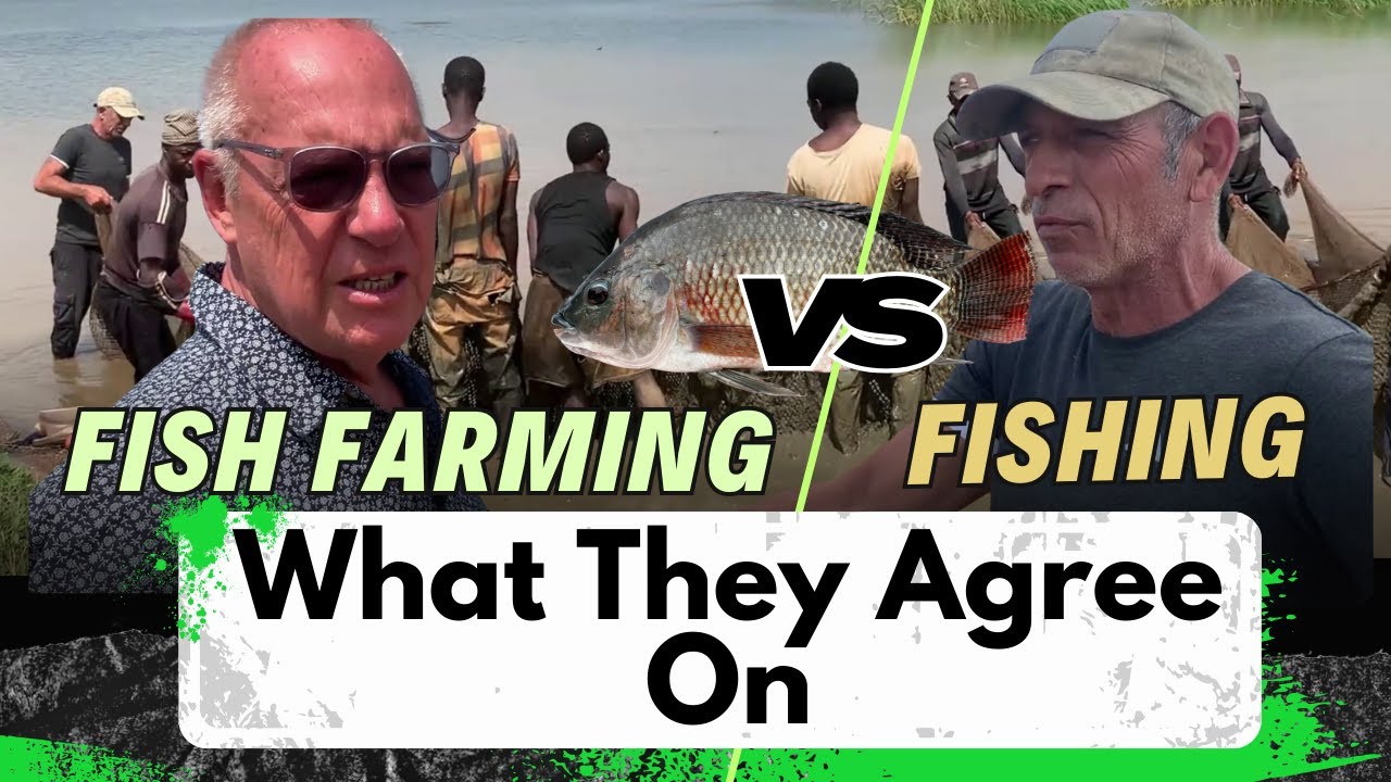 Fishing and Fish farming - Will we soon run out of fish to eat?