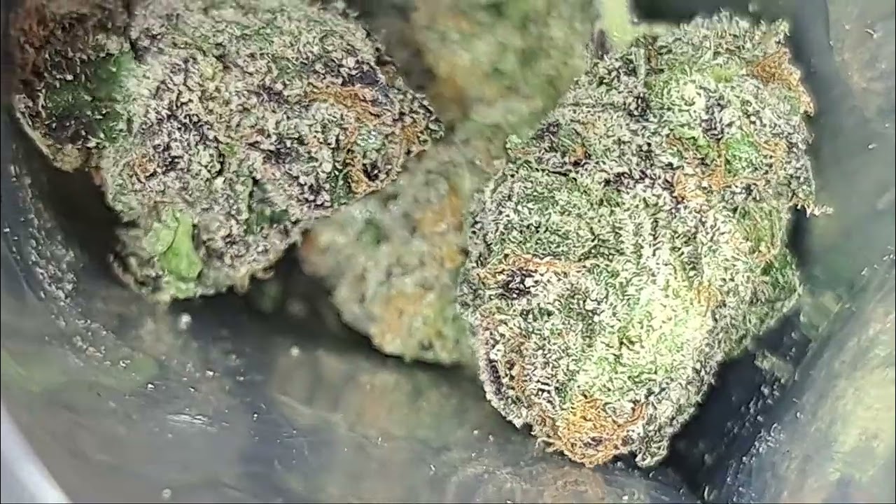 high toleruntz by jokes up x High tolerance