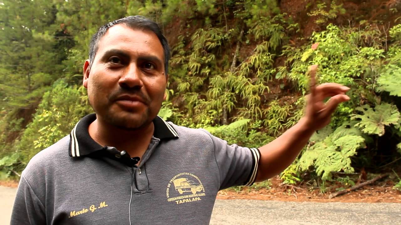 La historia de Munganan (Zoques de Tapalapa)