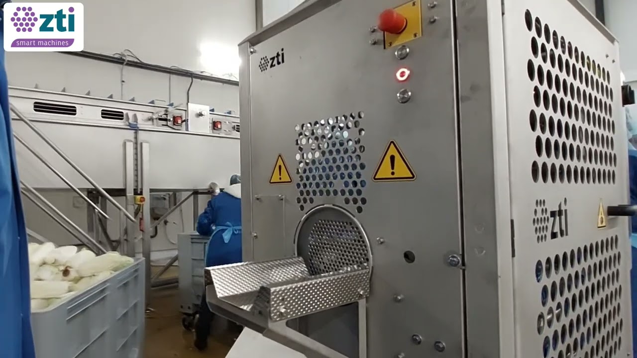 Chinese Cabbage Processing machine