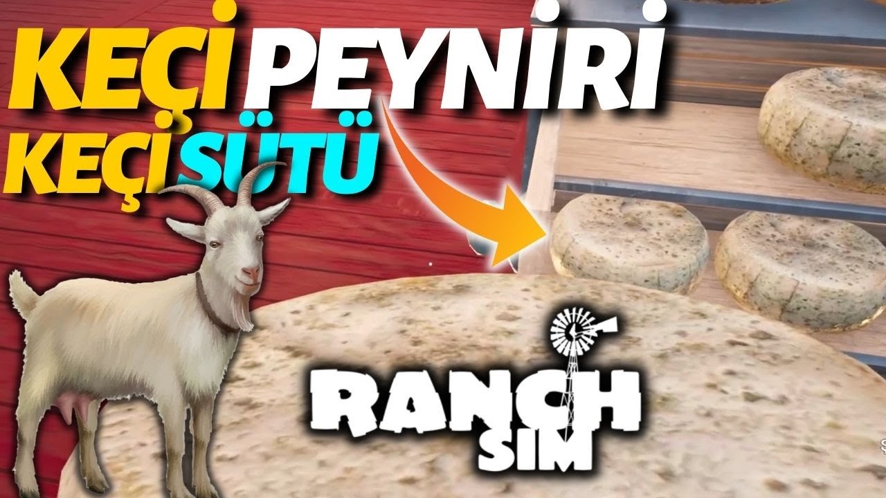 🐐KEÇİLERİ SAĞDIK - KEÇİ PEYNİRİ ÜRETİP SATIYORUZ! | RANCH SIMULATOR #35