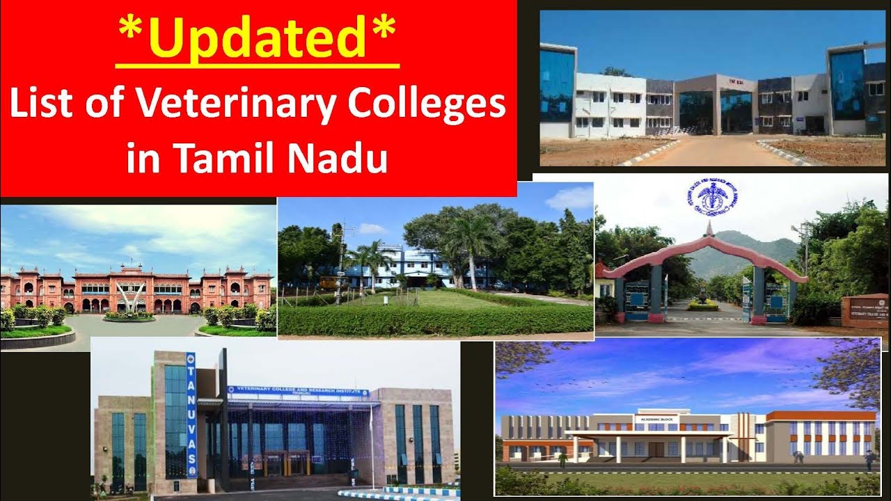 Best Veterinary Colleges in Tamil Nadu / BVsc / MVsc / PhD in Veterinary sciences / TANUVAS