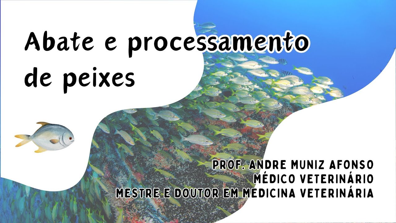 Abate e processamento de peixes
