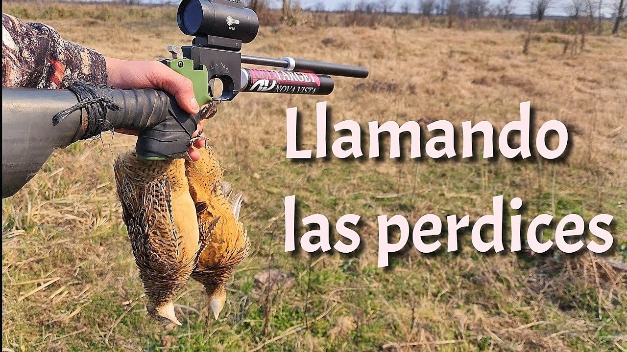 SILVANDO LAS PERDICES! CAZA CON AIRE COMPRIMIDO
