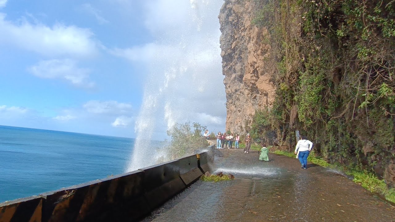 Madeira/Atostogos Madeiroje 2026 sausio mėnesi :)(2 dalis)Holidays in Madeira in January (part 2)