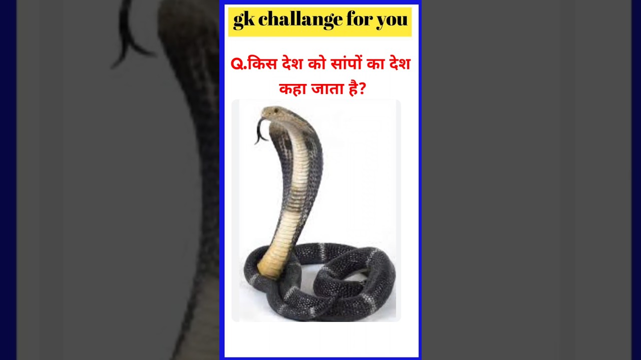 Gk Questions And Answers | Gk Quiz || Gk in Hindi | Gk Ke Sawal |  General Knowledge | GK Questions