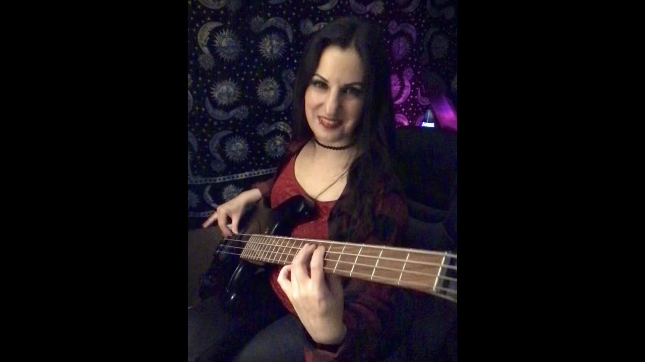 “Aces High” Iron Maiden bass cover by @VirgoBass