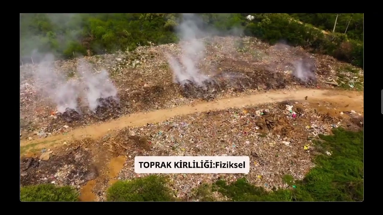 Kirlilik ve kirlilik t&uuml;rleri