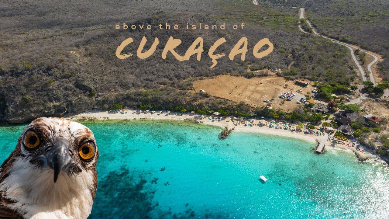 Above Curacao | pt.19 | Coral Estate, Daaibooi Beach,  Porto Mari Beach | Amazing Aerial Scenery