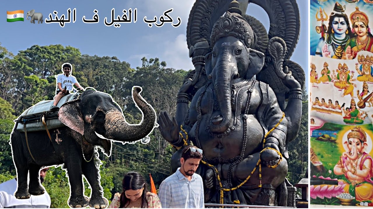 ركوب الفيل ف الهند🐘