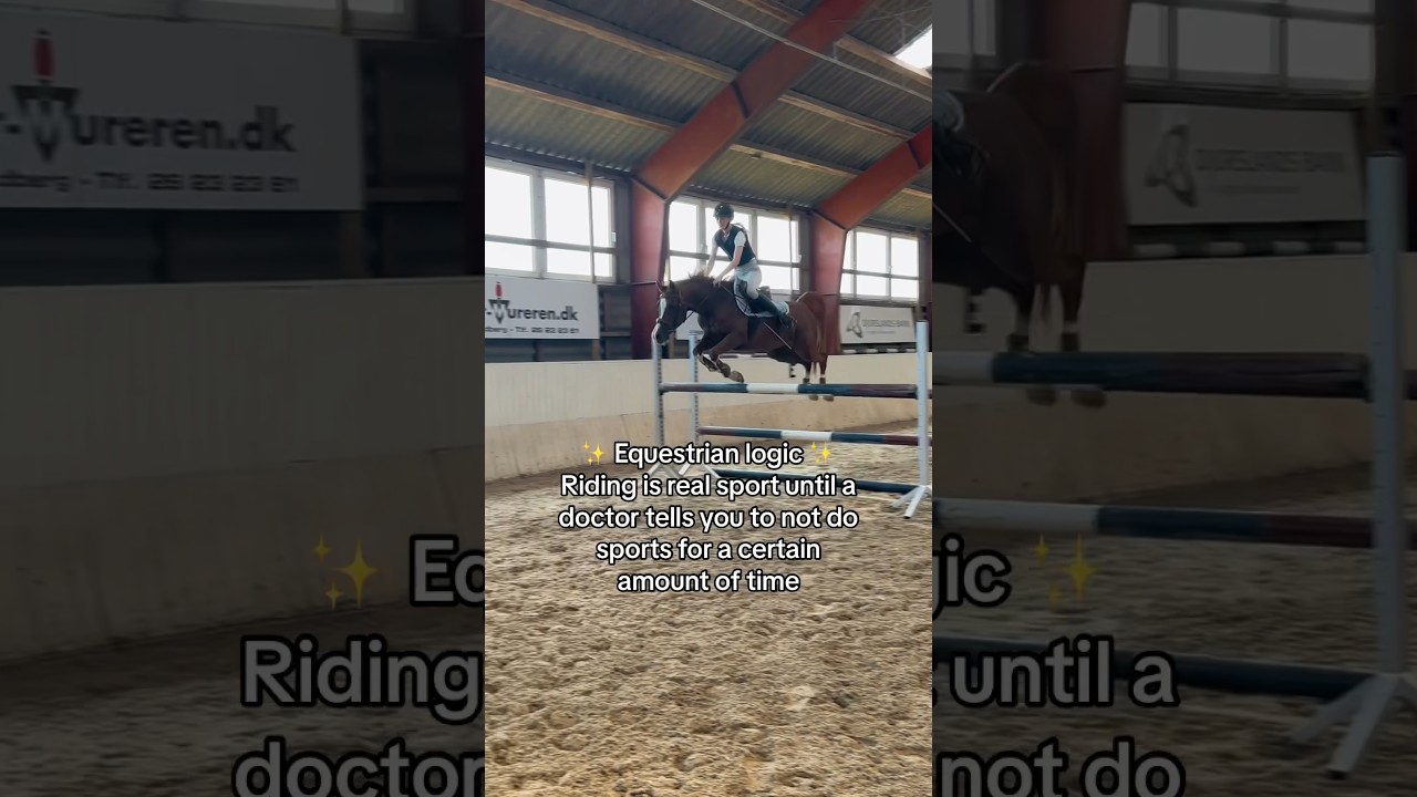 😂😂😂 #equestrian #horse #pony #horses #rider #showjumping #cheval #pferde #shorts #short #pferd