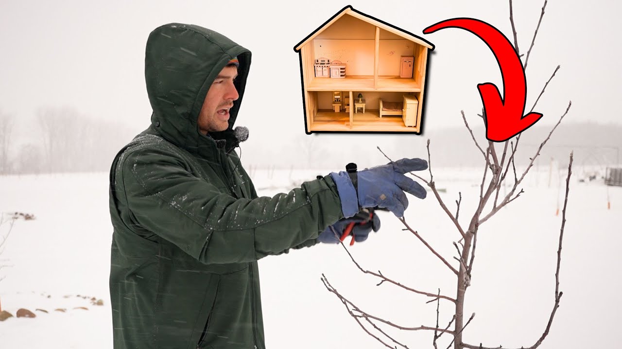 Why Most Pruning Videos On YouTube are CONFUSING! 😵‍💫