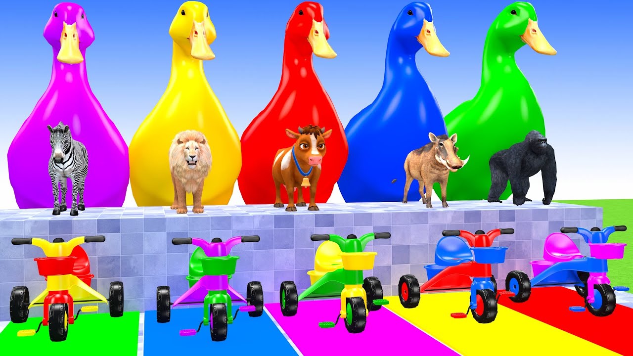 Long Slide Game With Elephant Gorilla Buffalo Hippopotamus Tiger 3d Animal Game Funny 3d Animals
