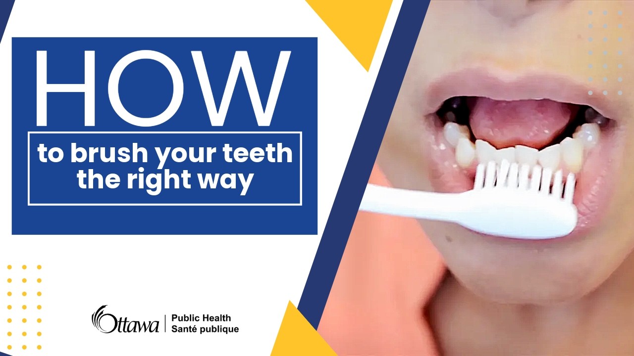 How to Brush Your Teeth