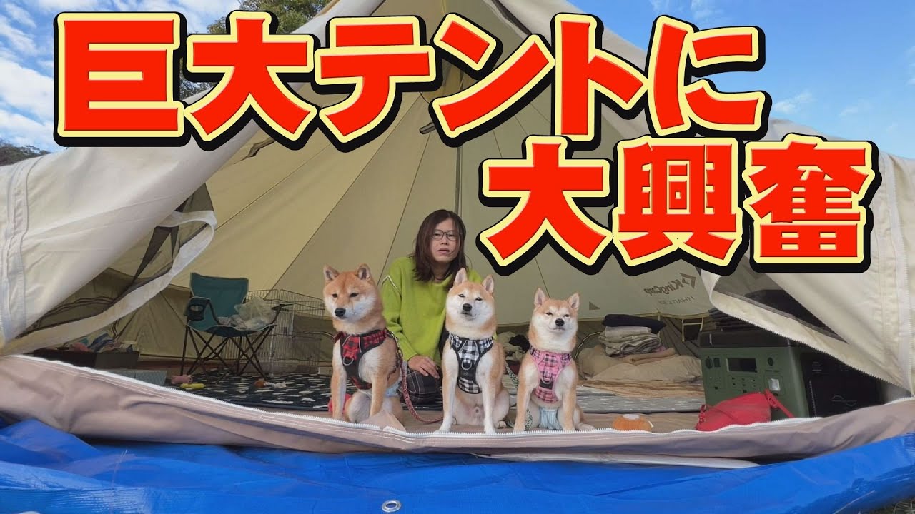 いきなりテントを破壊し、食事中に大混乱に陥る３兄妹・・・