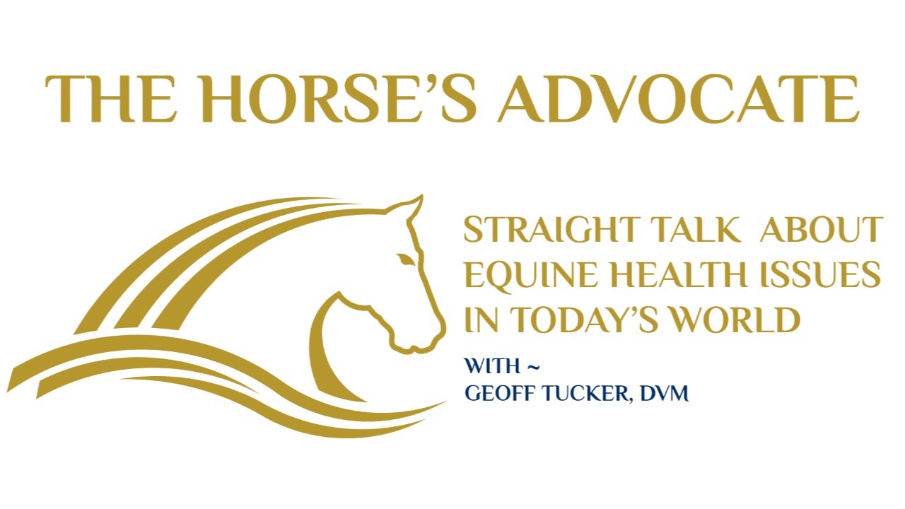 Launching The Horse's Advocate Website
