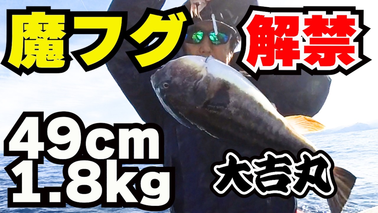 冬の日本海に魔物がいた　マフグ爆釣　美味しすぎ　持ち帰り４ｋｇ　てっさに白子　焼きフグ　唐揚げ　サイコウ　大吉丸