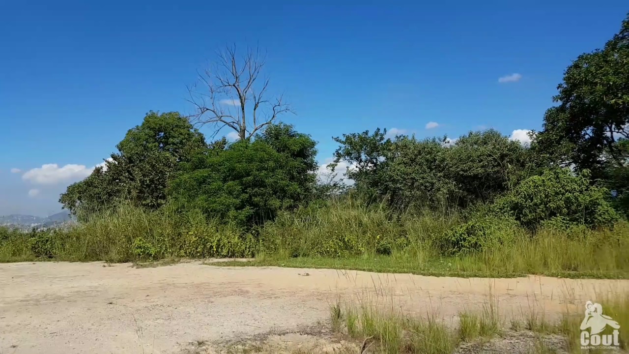 [ Serra da Misericórdia - Complexo do Alemão ]
