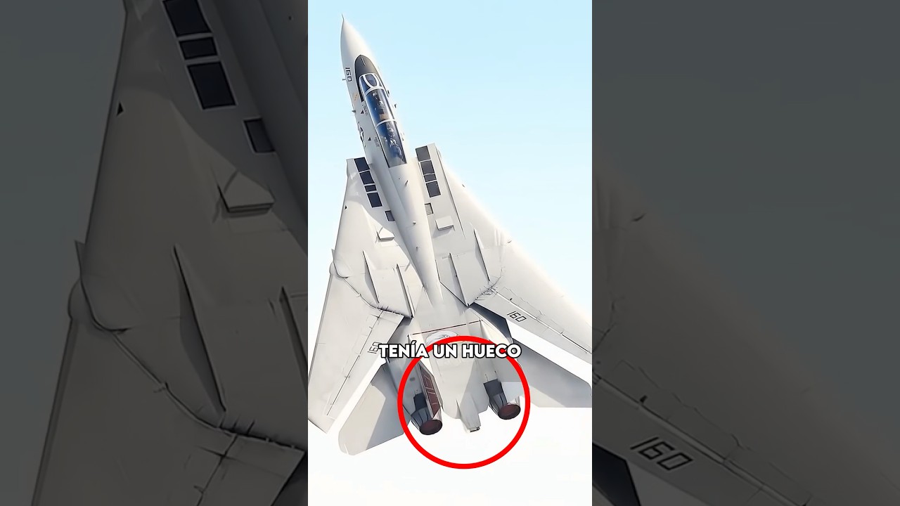 El Problema De Los Pilotos De F14