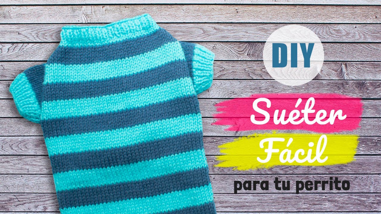 &iexcl;Haz este adorable Su&eacute;ter B&aacute;sico en punto Jersey! para tu perrito.
