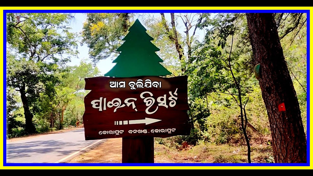 PINE RESORT AT KORAPUT