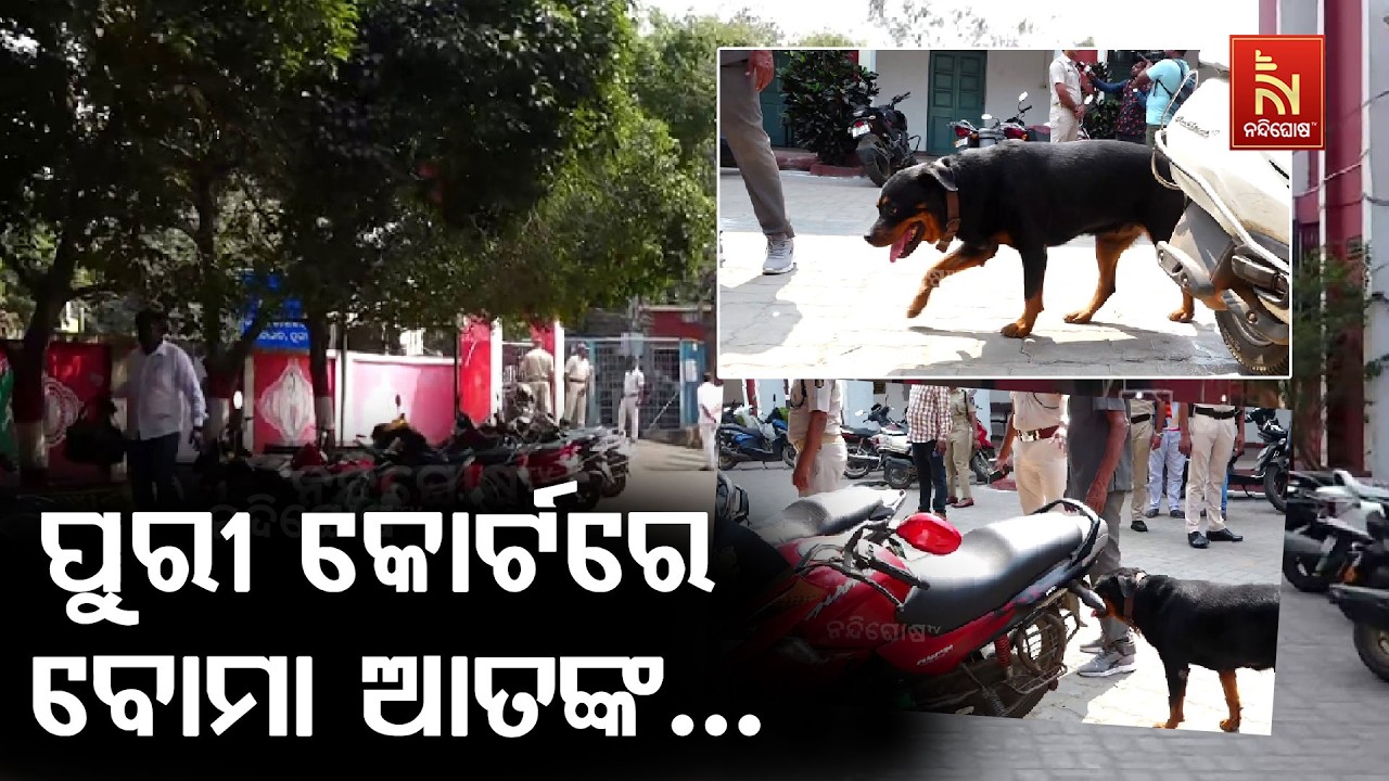 ପୁରୀ କୋର୍ଟରେ ବୋମା ଆତଙ୍କ,  ଖବର ମିଳିବା ପରେ ପୋଲିସ ପକ୍ଷରୁ ବମ ସ୍କାର୍ଡ ଦ୍ବାରା ଯାଞ୍ଚ କରାଯାଉଛି
