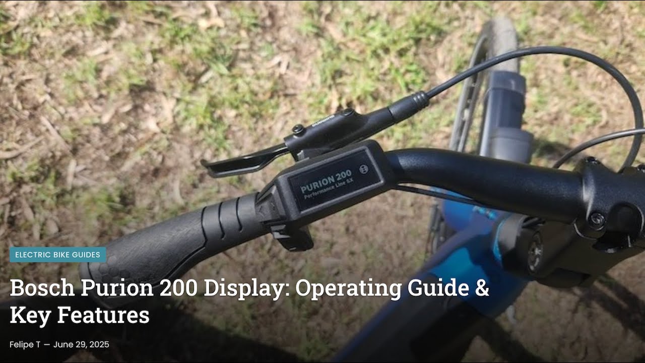 Bosch PURION 200 Display & Controller Explained