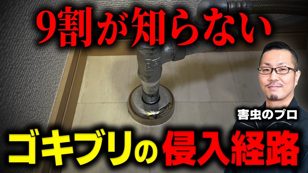 【道具いらずの最強ゴキブリ対策】隙間を塞いで侵入を断つ！自分でできるやり方を駆除のプロが直伝＜賃貸・アパートでもOK＞｜東京
