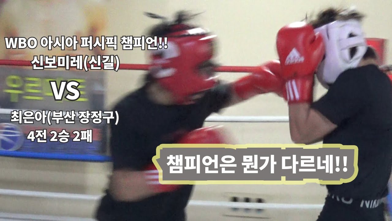 여자 챔피언은 뭔가 달라도 다르네!!  신보미레(신길) VS 최은아(부산 장정구) #신보미레 #아시아챔피언 #여자프로복서 #챔피언 #여자스파링